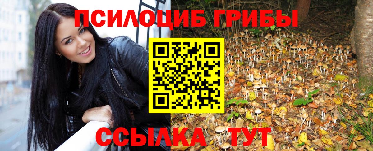 Псилоцибиновые грибы мицелий  Вход с VPN  Приморско-Ахтарск 