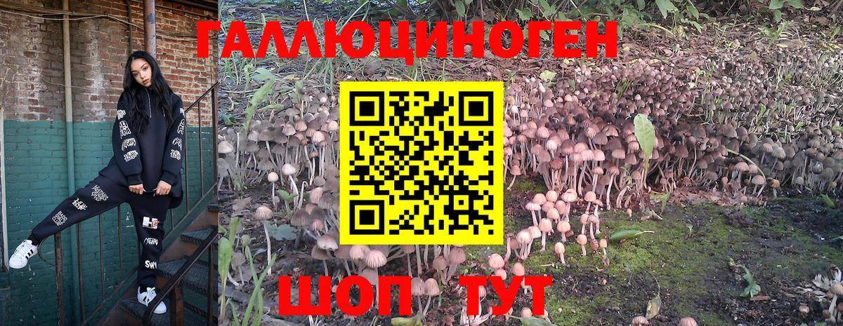 Галлюциногенные грибы ЛСД Приморско-Ахтарск